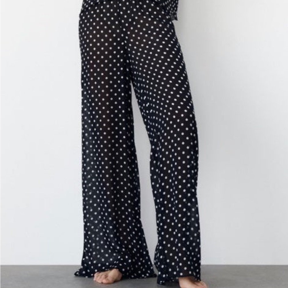 Zara Sheer Polka Dot Pants